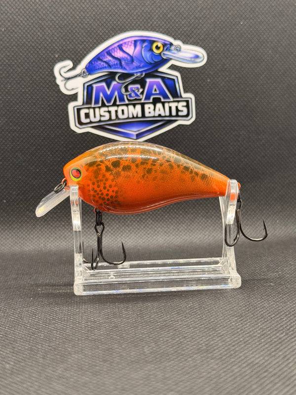 M&A Molton