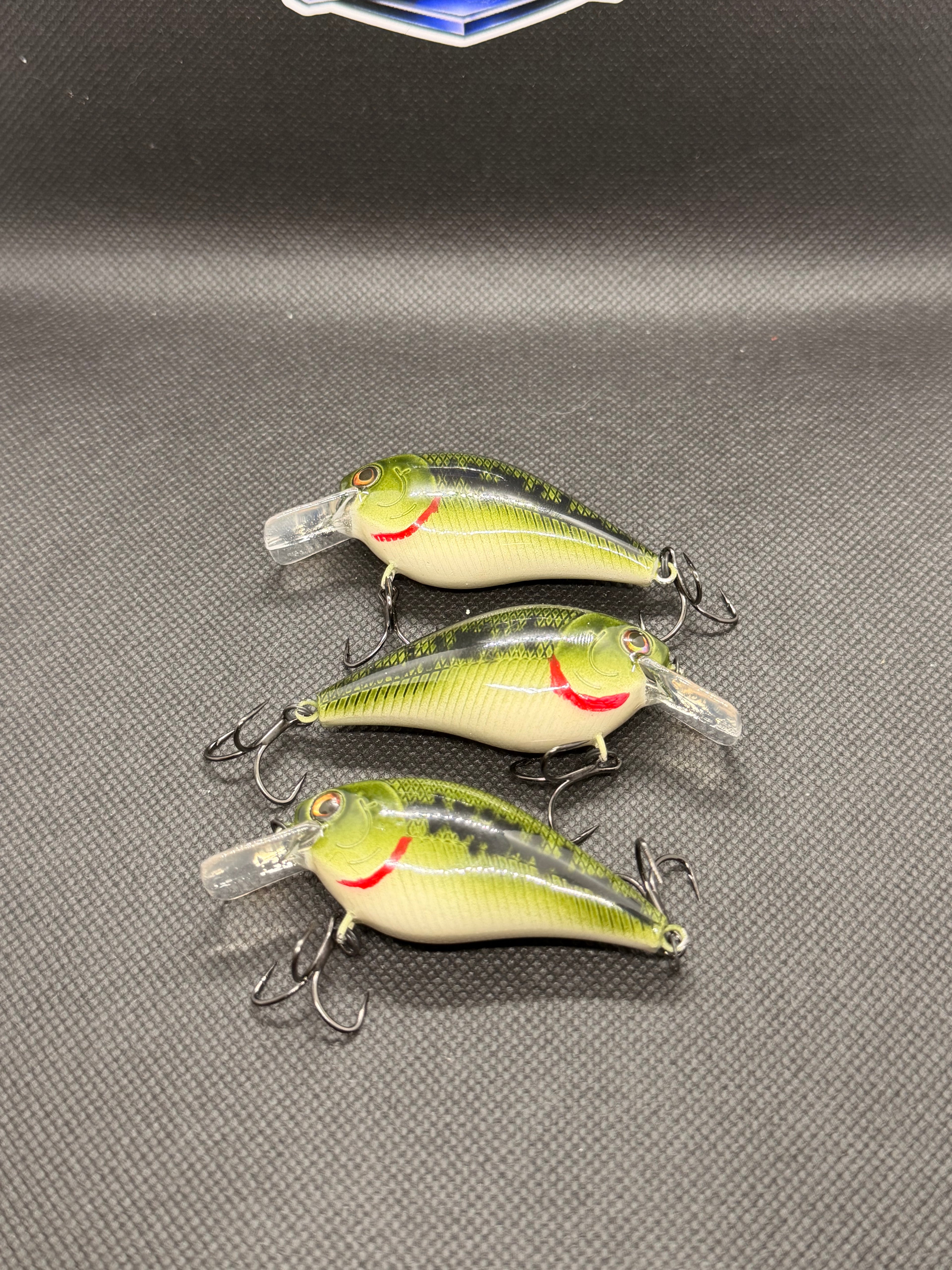 M&A Baby Bass